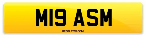 M19 ASM