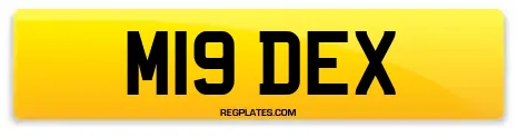 M19 DEX
