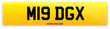 M19 DGX