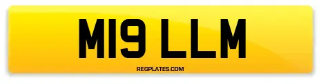 M19 LLM