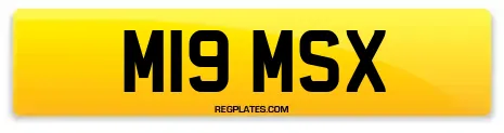 M19 MSX