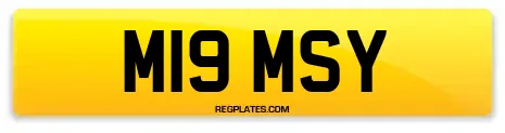 M19 MSY