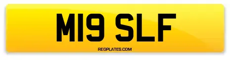 M19 SLF