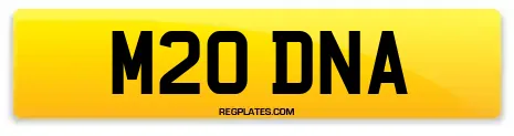 M20 DNA