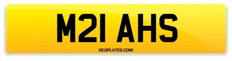 M21 AHS