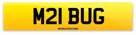 M21 BUG