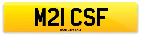 M21 CSF
