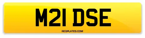 M21 DSE