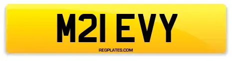 M21 EVY