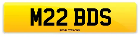 M22 BDS