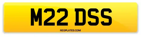 M22 DSS