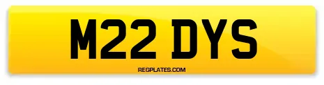 M22 DYS