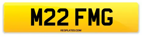 M22 FMG