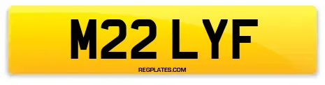 M22 LYF