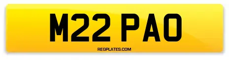 M22 PAO