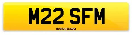 M22 SFM