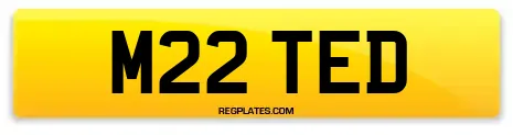 M22 TED