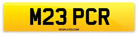 M23 PCR