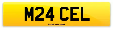 M24 CEL