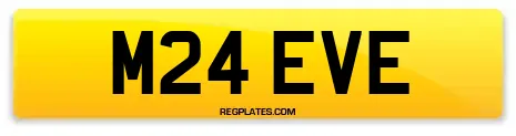 M24 EVE