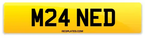 M24 NED