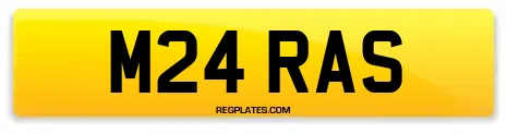 M24 RAS