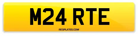 M24 RTE