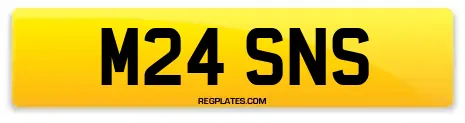 M24 SNS