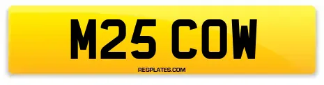 M25 COW