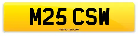 M25 CSW