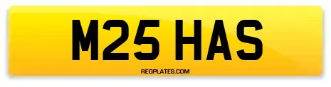 M25 HAS