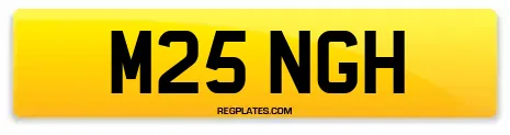 M25 NGH