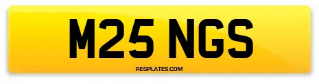 M25 NGS