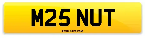 M25 NUT
