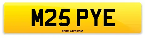 M25 PYE