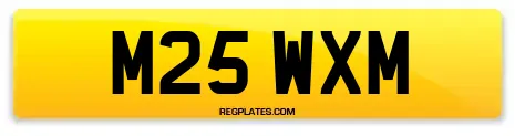 M25 WXM