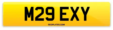 M29 EXY