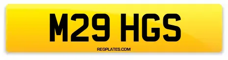 M29 HGS