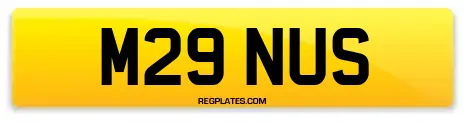 M29 NUS