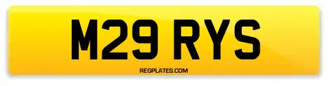M29 RYS