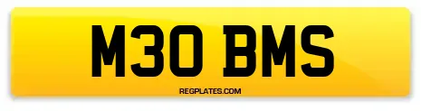M30 BMS