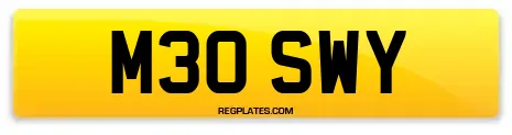 M30 SWY
