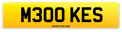 M300 KES