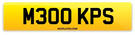 M300 KPS