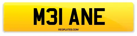 M31 ANE
