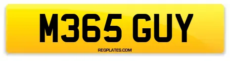 M365 GUY