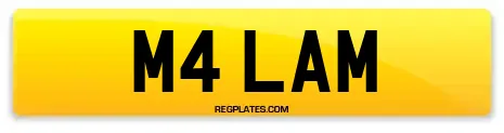 M4 LAM
