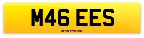 M46 EES