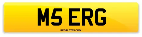 M5 ERG