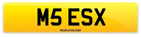 M5 ESX